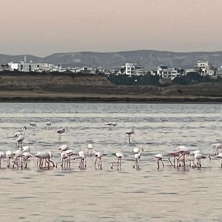 Salt Lake لارنكا المظهر الخارجي الصورة